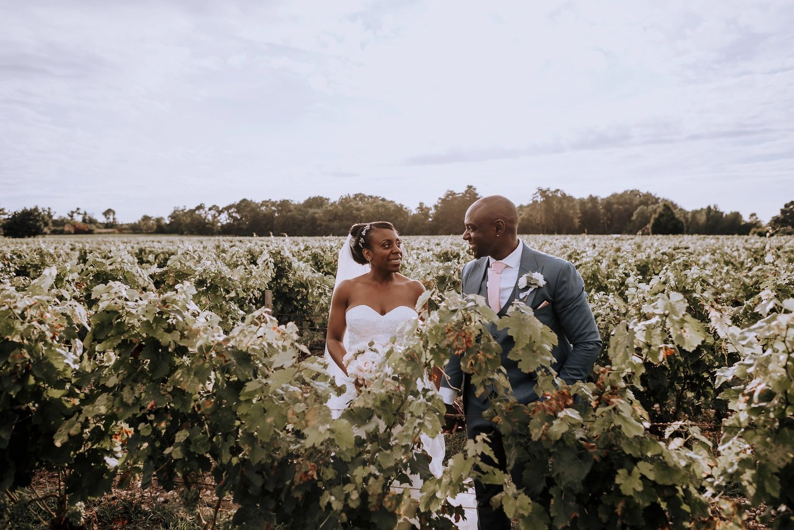 Newlyweds in the middle of a vineyard during the sunset of their destination wedding in Italy