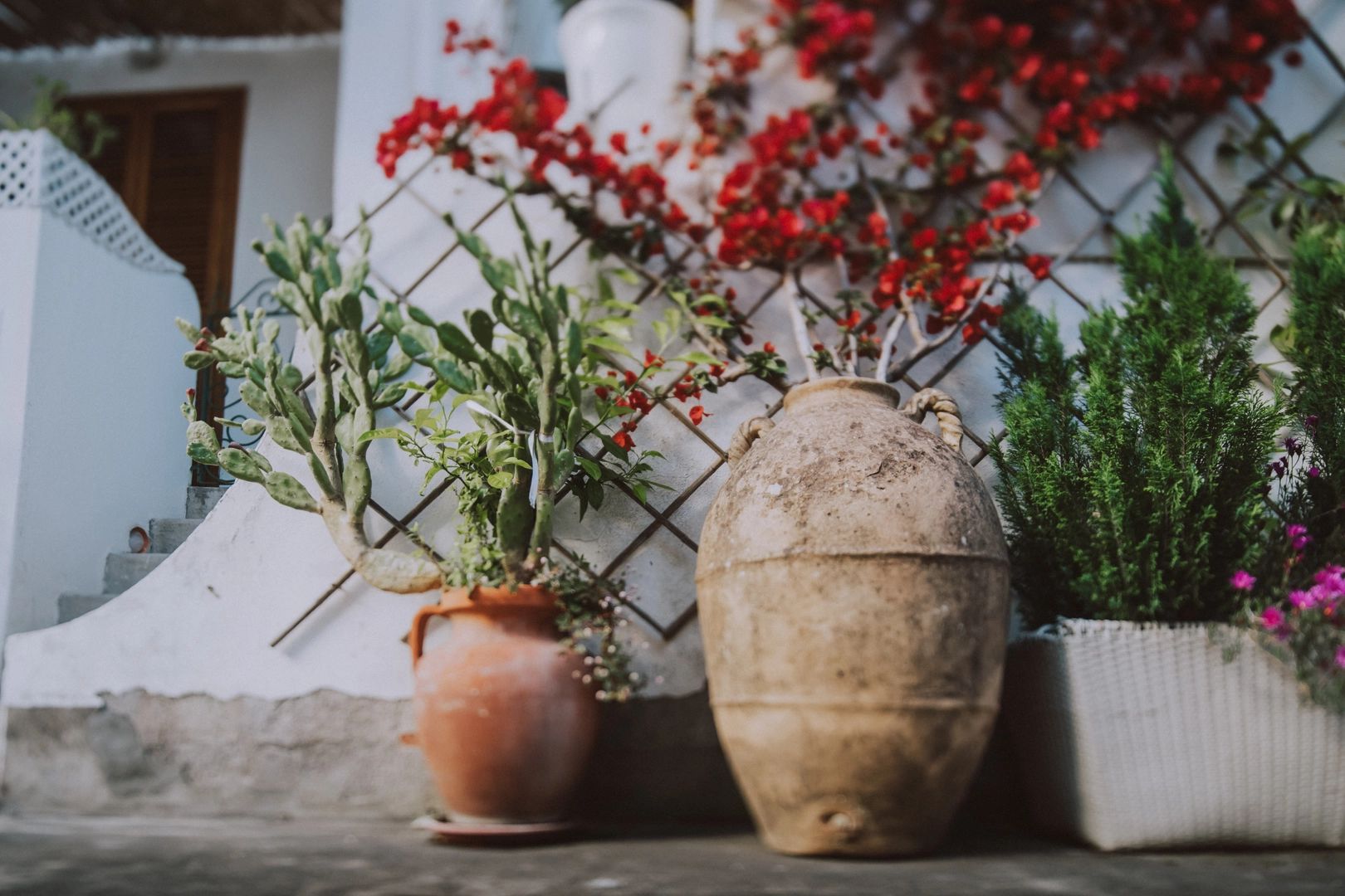 Three antique-looking vases with vibrant plants placed outside a building