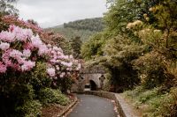 Stone arch at Tollymore Forest in Northern Ireland