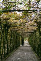 A pathway enclosed by trees with bent branches creating a shade where newlyweds dance for their Irish wedding photoshoot
