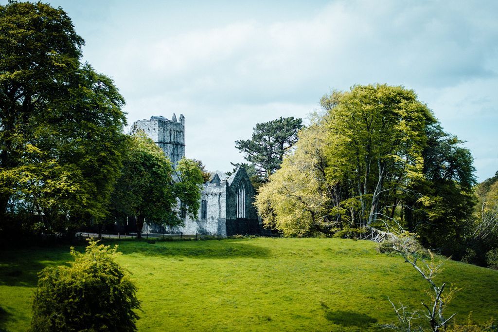 A monastery ruin hidden beneath big trees in the Killarney National Park in Ireland