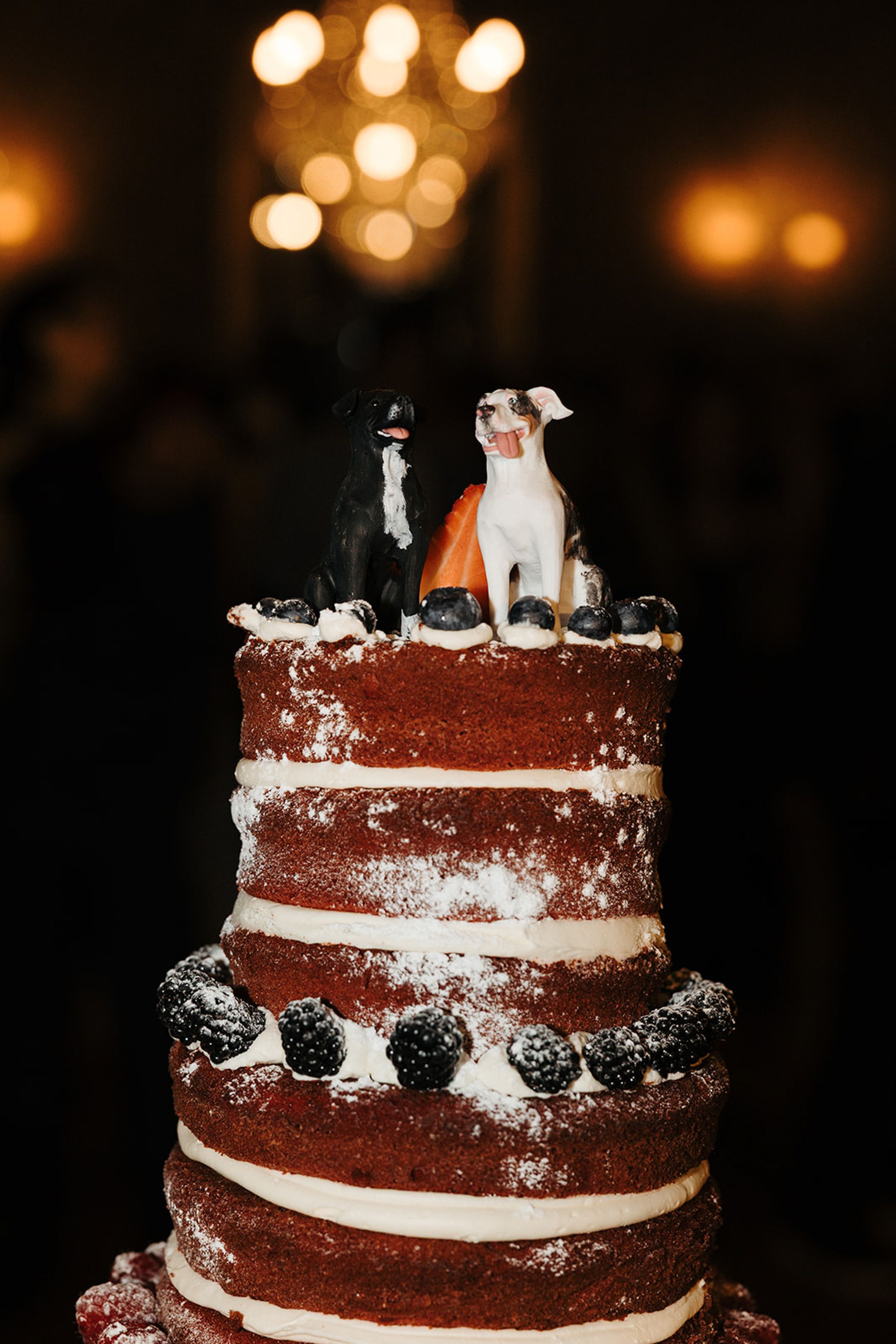 Rustic naked wedding cake topped with dog figurines at a small wedding in Portugal