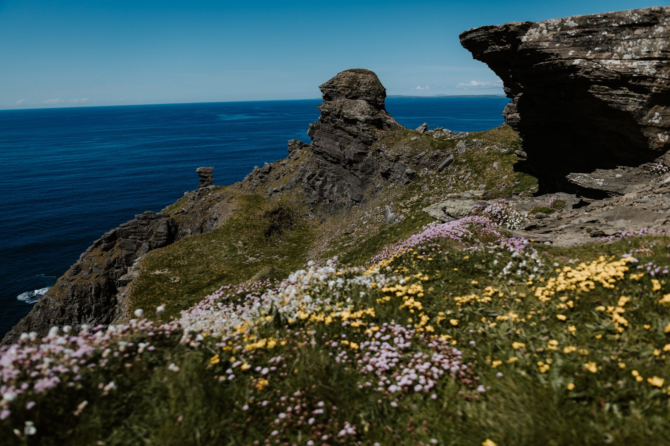 Wildflowers carpet the headland at Hag's Head, the dramatic sea-stack tip of the Cliffs of Moher in County Clare.