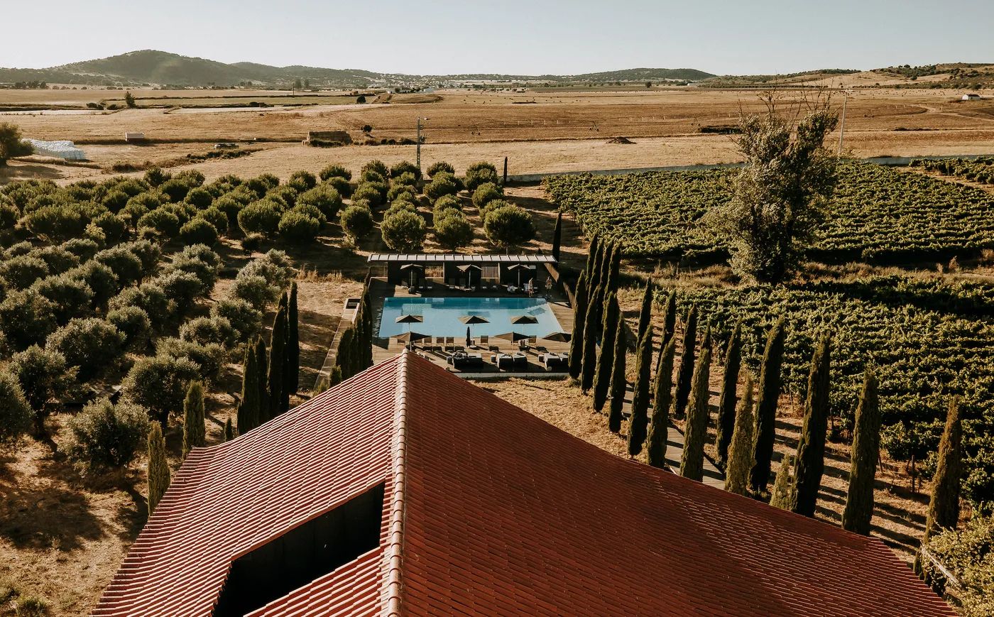 Cypress trees, vineyards, a roof of a quinta with a pool in front and lush green landscapes showcasing Alentejo’s vibrant countryside
