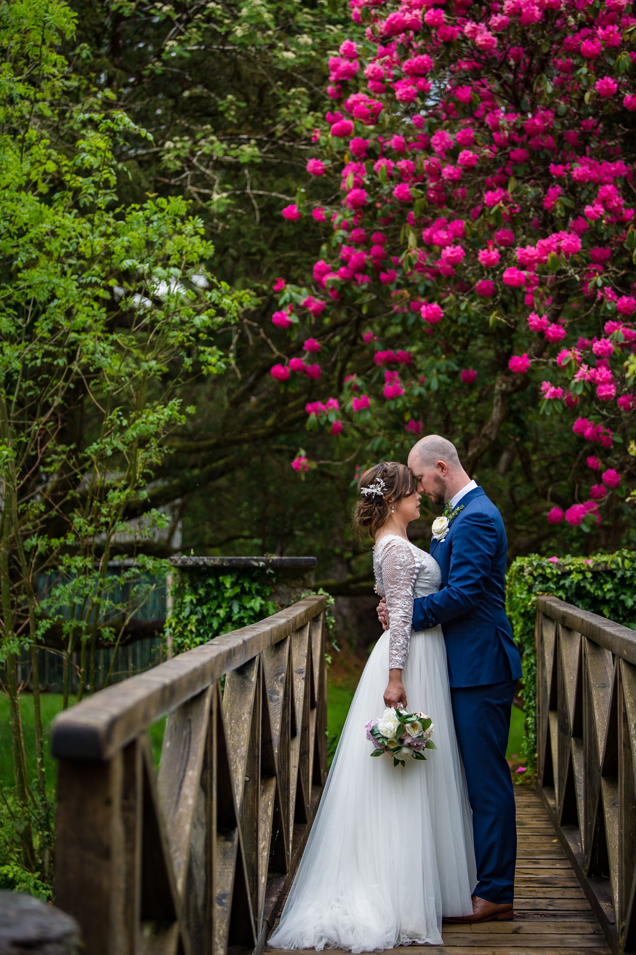 Bride and groom hugging on a bridge with a pink flowery tree in the background during their elopement in Ireland