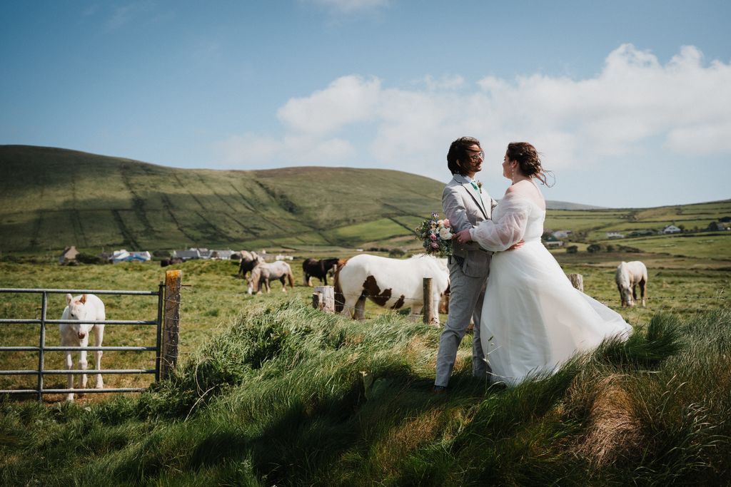 Newlyweds having a photoshoot along the Ring of Kerry with rolling hills and cows grazing the pasturelands in the background