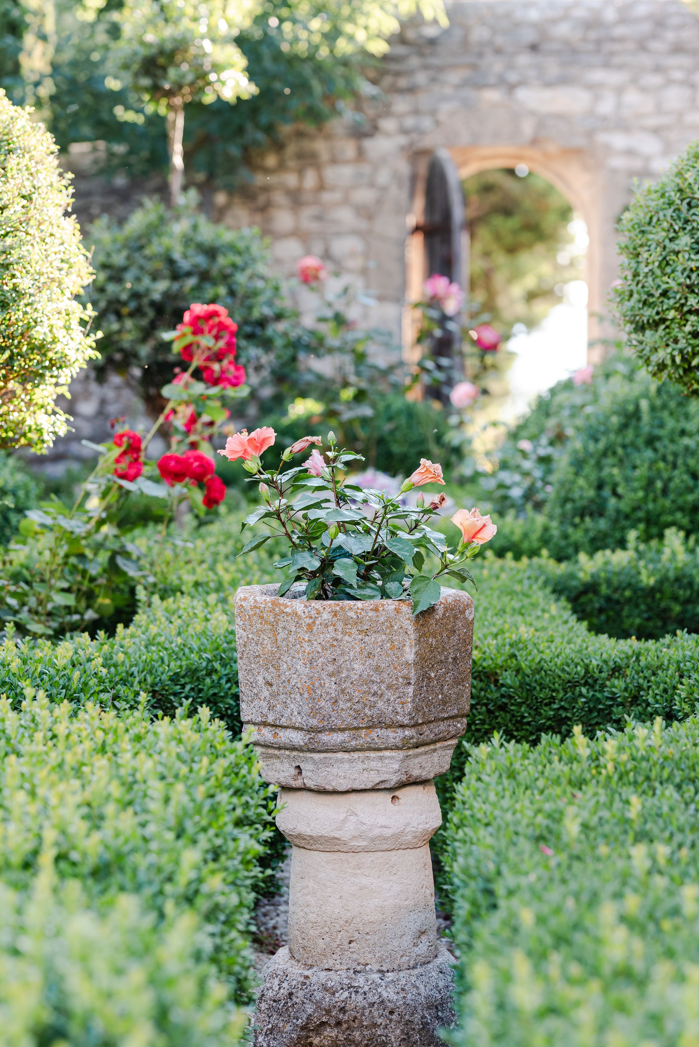 Rose-filled garden at a French countryside venue hosting an intimate wedding in France