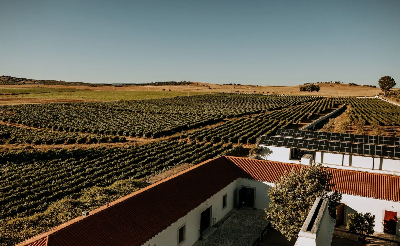 A large tract of land with vineyards, open spaces, and white buildings with orange brick roofs
