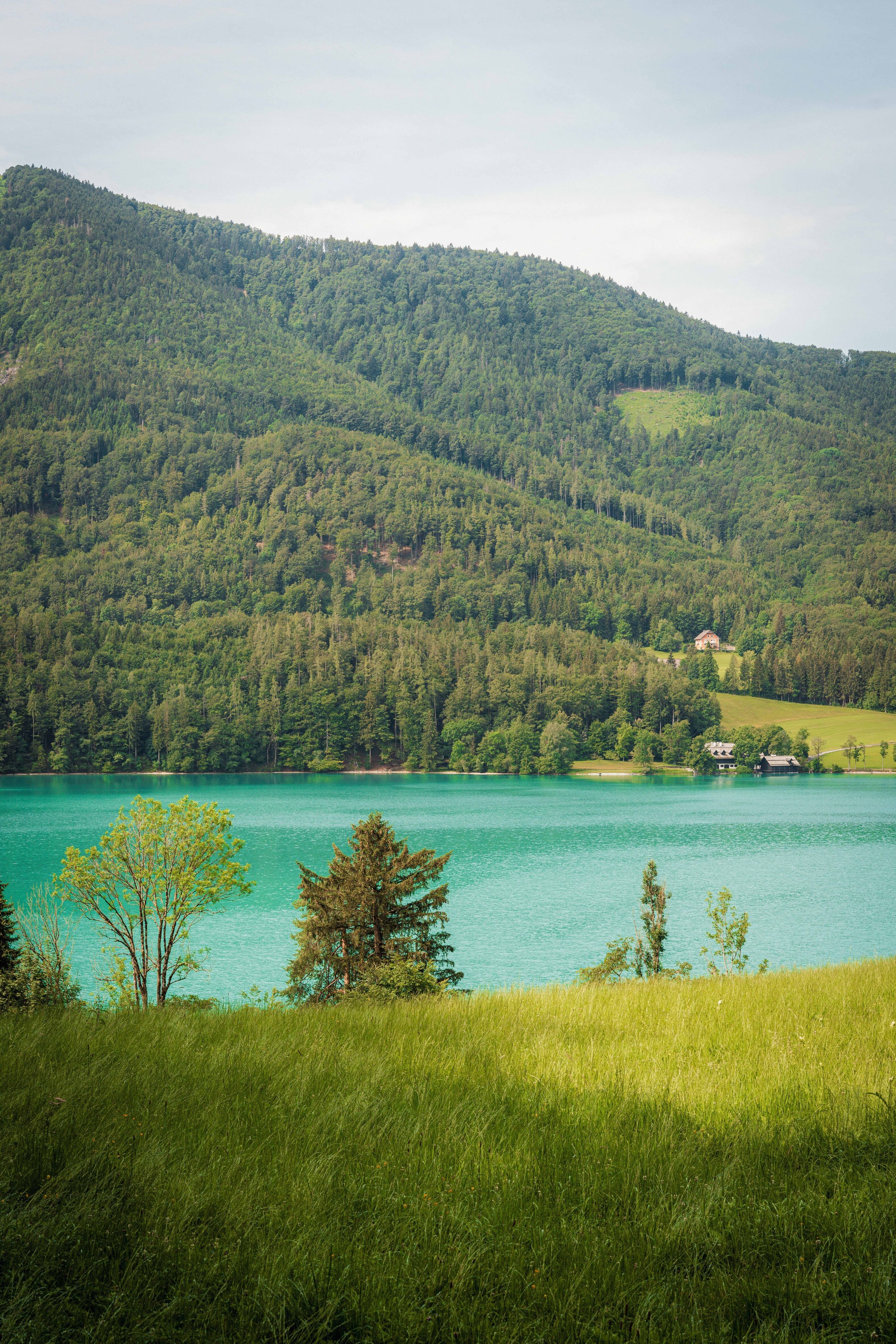 Turquoise lake and green hills in Carinthia, Austria's sunny south