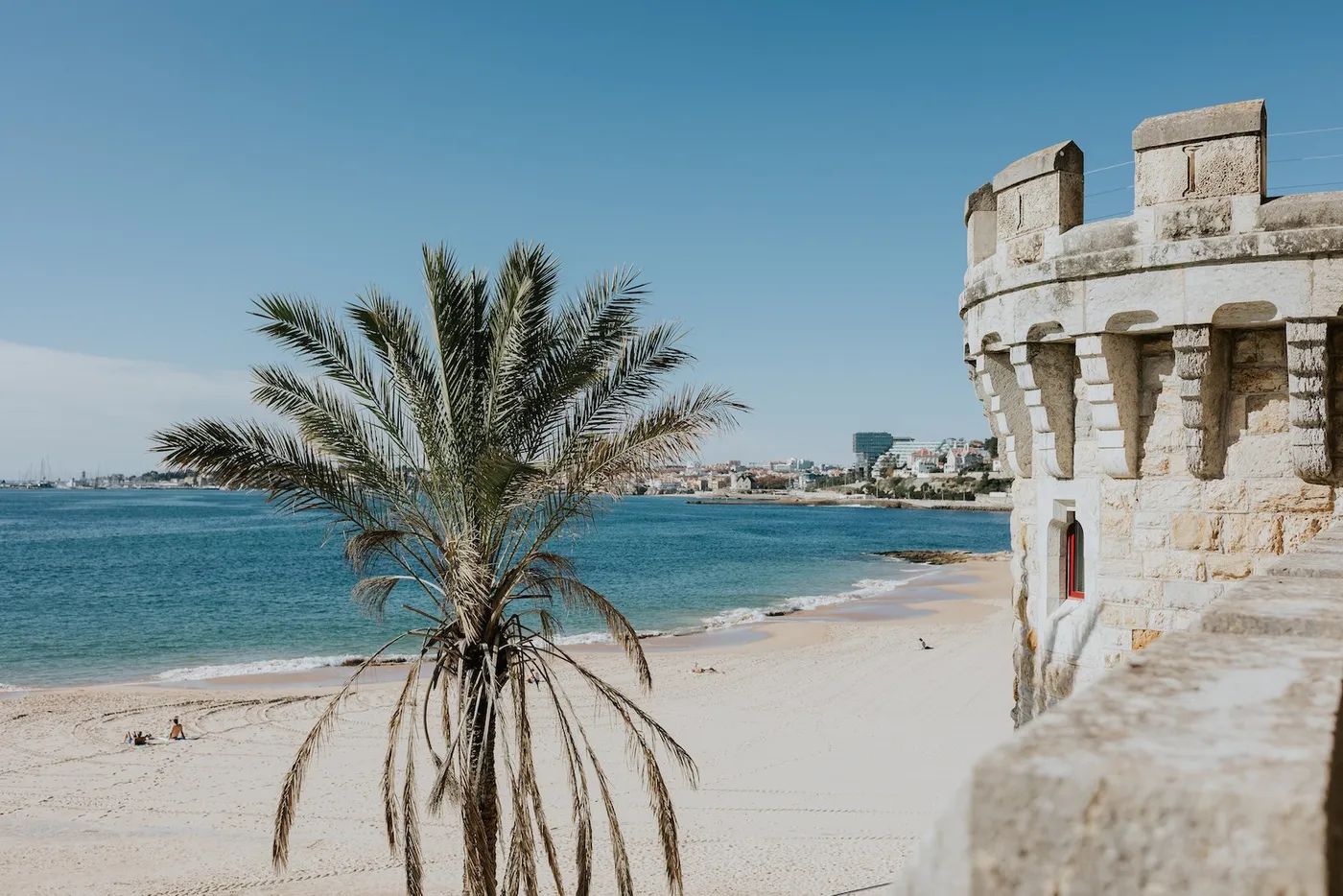 A beachside castle and a deep blue sea in the background, with a palm tree in front