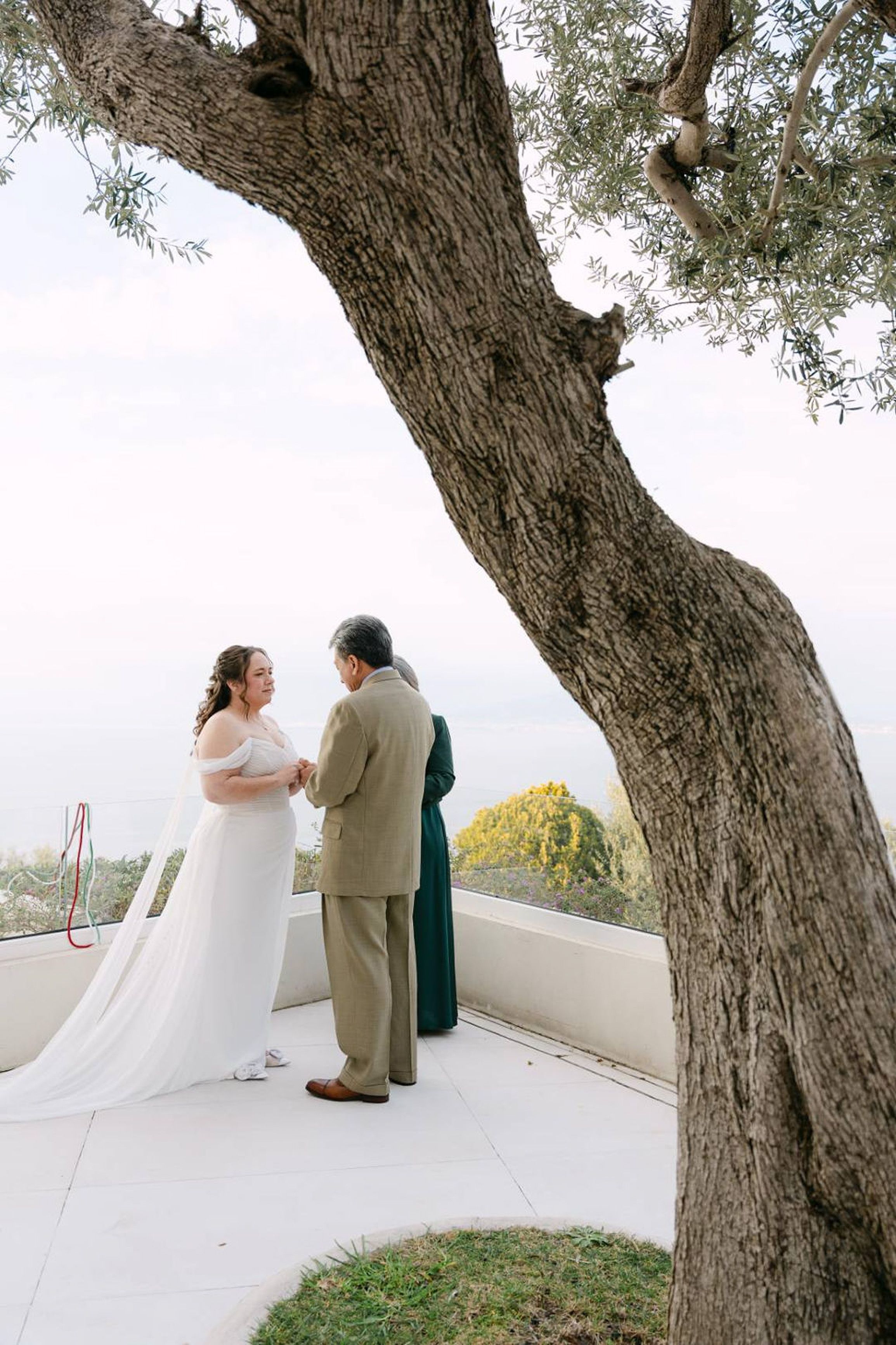Wide ceremony view framed by an olive tree during a small wedding in Italy