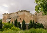 A historic castle with medieval brick facade set against the lush greenery of Salamanca in Spain
