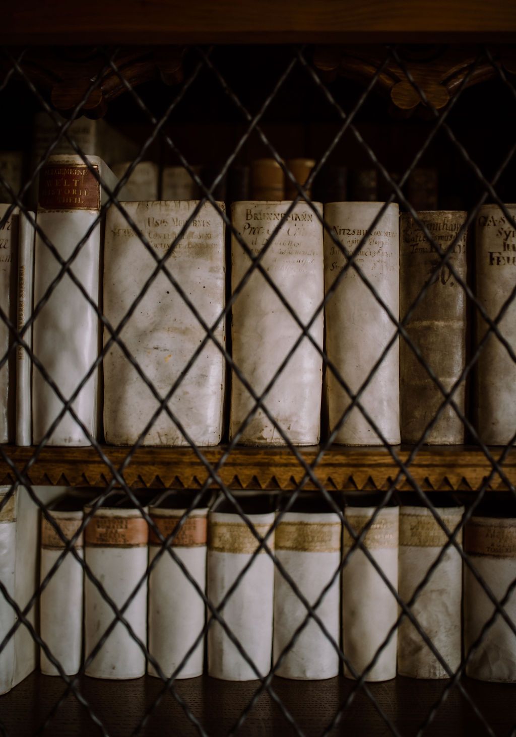 Antique leather-bound books behind a lattice grille in an Austrian palace library