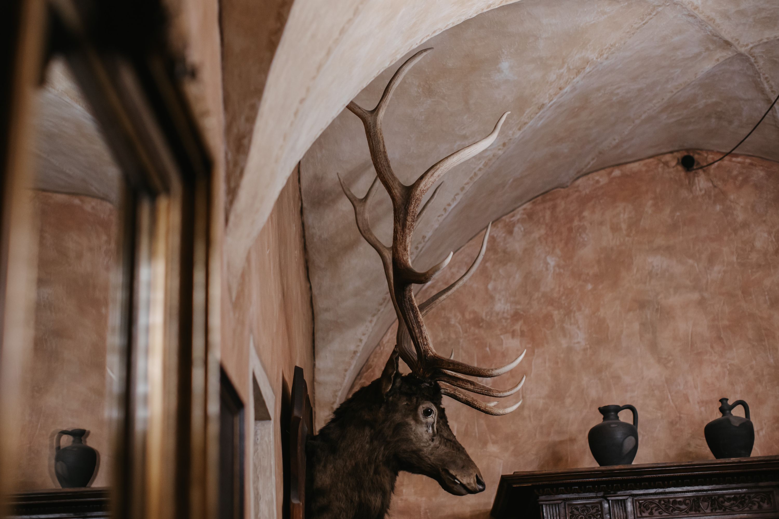 Stag antlers on the wall of a vaulted chamber in an Austrian castle
