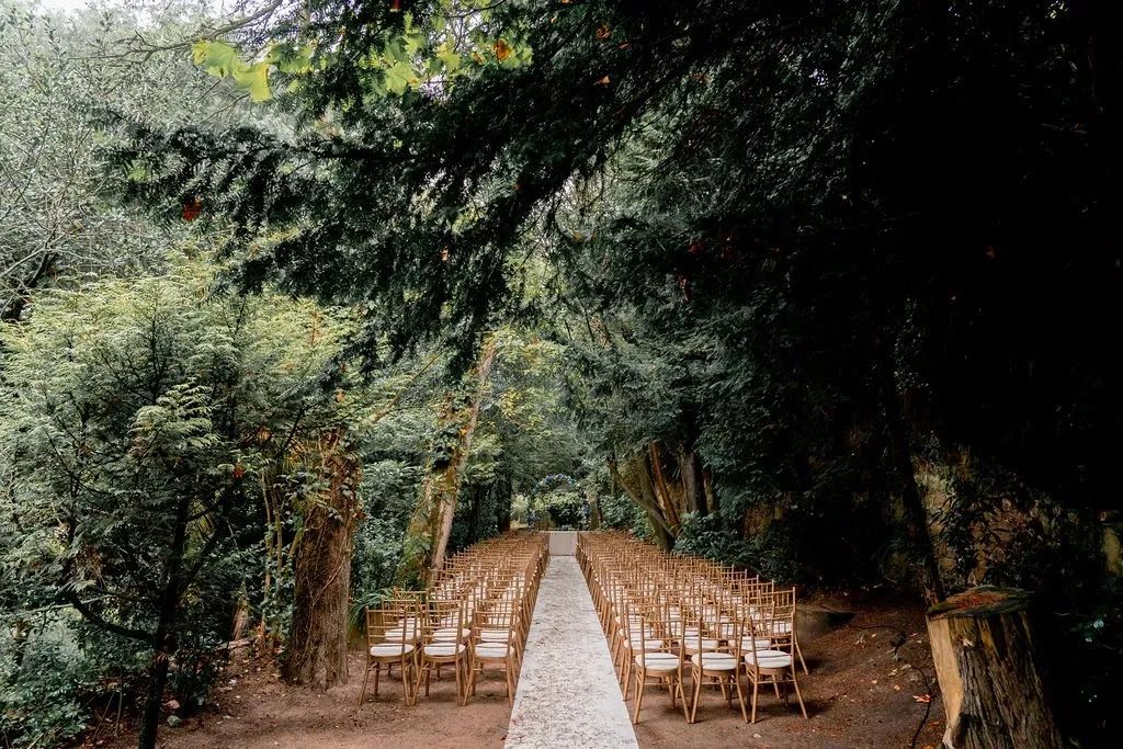 Chairs arranged for an outdoor wedding ceremony surrounded by tall trees, with a floral arch in front at the center