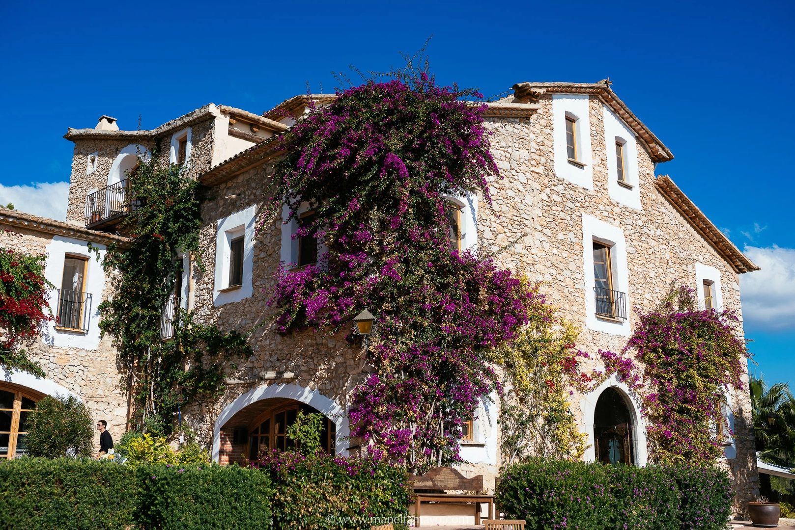 Wedding villa in Barcelona for destination weddings in Spain, with lush greenery and flowers crawling on its walls